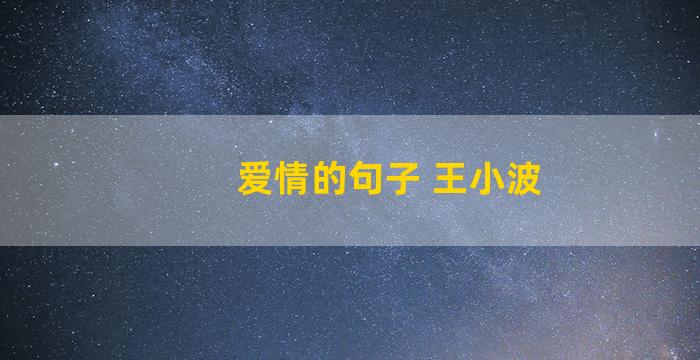 爱情的句子 王小波